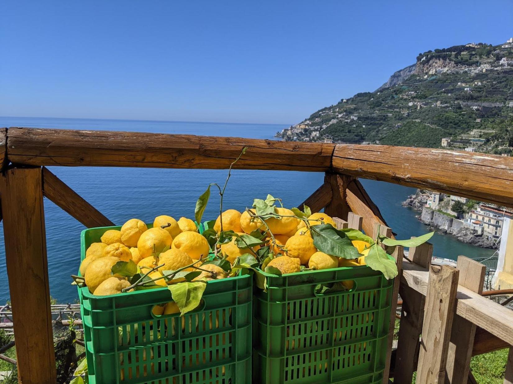 Casa Vacanze Freeholiday House Minori Zewnętrze zdjęcie